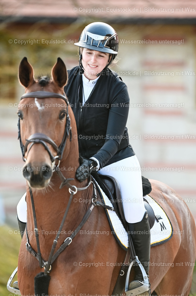 20260307_Hengstvorstellung-Marbach_0040 | equistock
