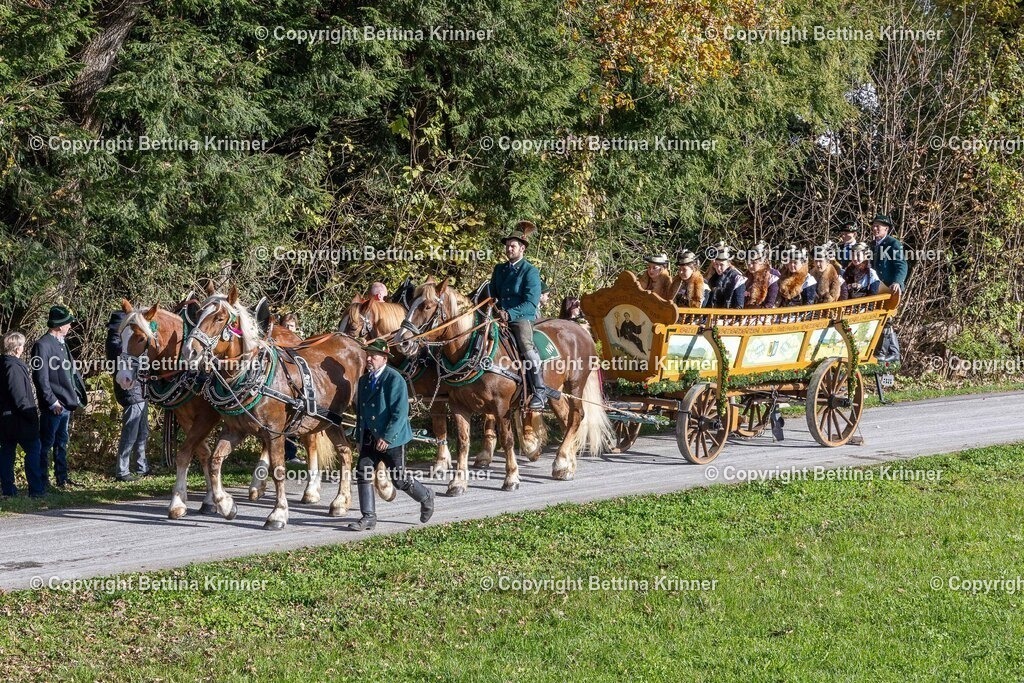 LBT24-513 | foto-bettina-krinner - Realisiert mit Pictrs.com