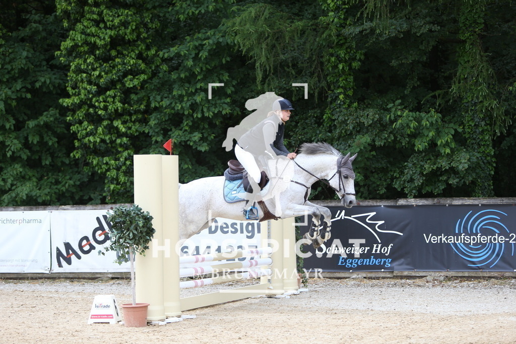 DL2Q0050 | Willkommen bei Brunnmayr - Design & Fotografie – Ihrem Spezialisten für Reitturniere und Pferdeveranstaltungen in Oberösterreich, Salzburg und Bayern! Seit über 17 Jahren sind wir leidenschaftlich dabei.