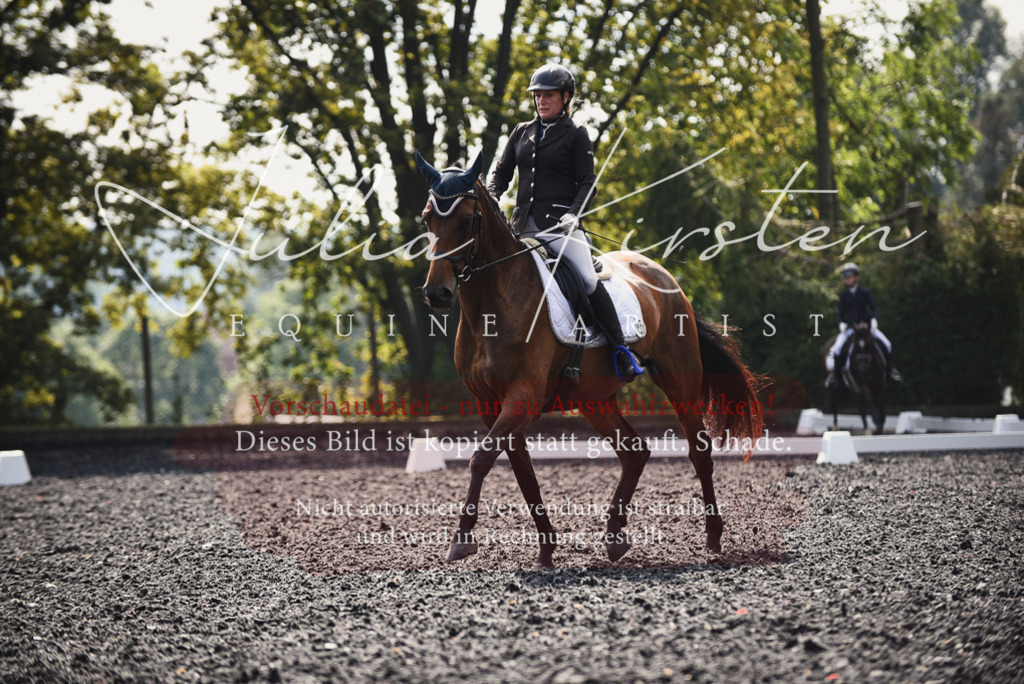 DSC_3668 | Pferde- und Turnierfotografie in Westsachsen. Pferdeportraits, Auftragszeichnungen und intuitive Kunst.