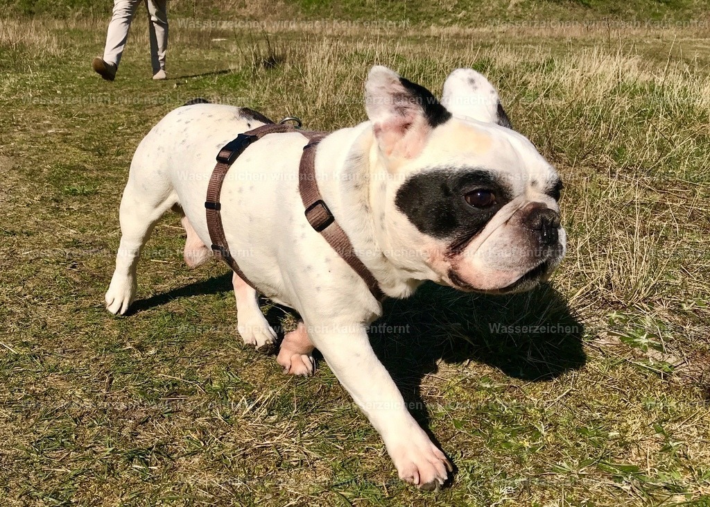 IMG_8846 | heikomoeller - Realisiert mit Pictrs.com