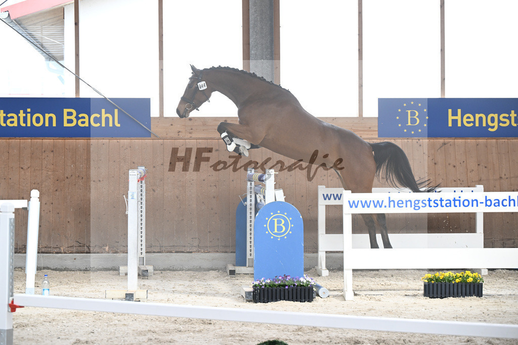 Kat-Nr. 44 Vera Nikotina v. Vingino_Kreutzpointner_5250553 | hf-fotografie - Realisiert mit Pictrs.com