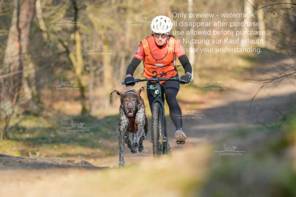 Sa_Scooter-111 | stephaniefillaphotographie - Realisiert mit Pictrs.com