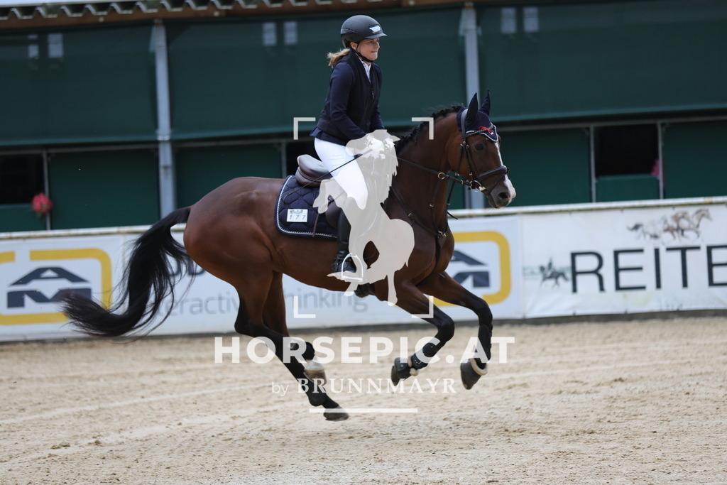 0P6A6866 | Willkommen bei Brunnmayr - Design & Fotografie – Ihrem Spezialisten für Reitturniere und Pferdeveranstaltungen in Oberösterreich, Salzburg und Bayern! Seit über 17 Jahren sind wir leidenschaftlich dabei.