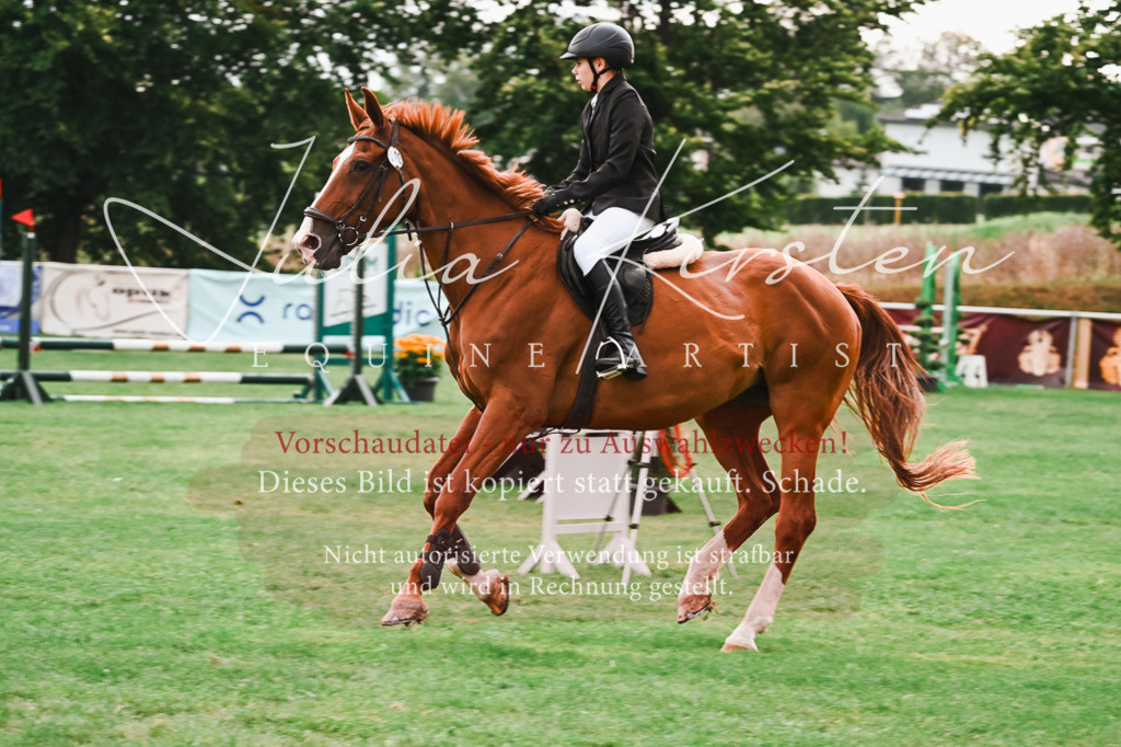 DSC_5845 | Pferde- und Turnierfotografie in Westsachsen. Pferdeportraits, Auftragszeichnungen und intuitive Kunst.