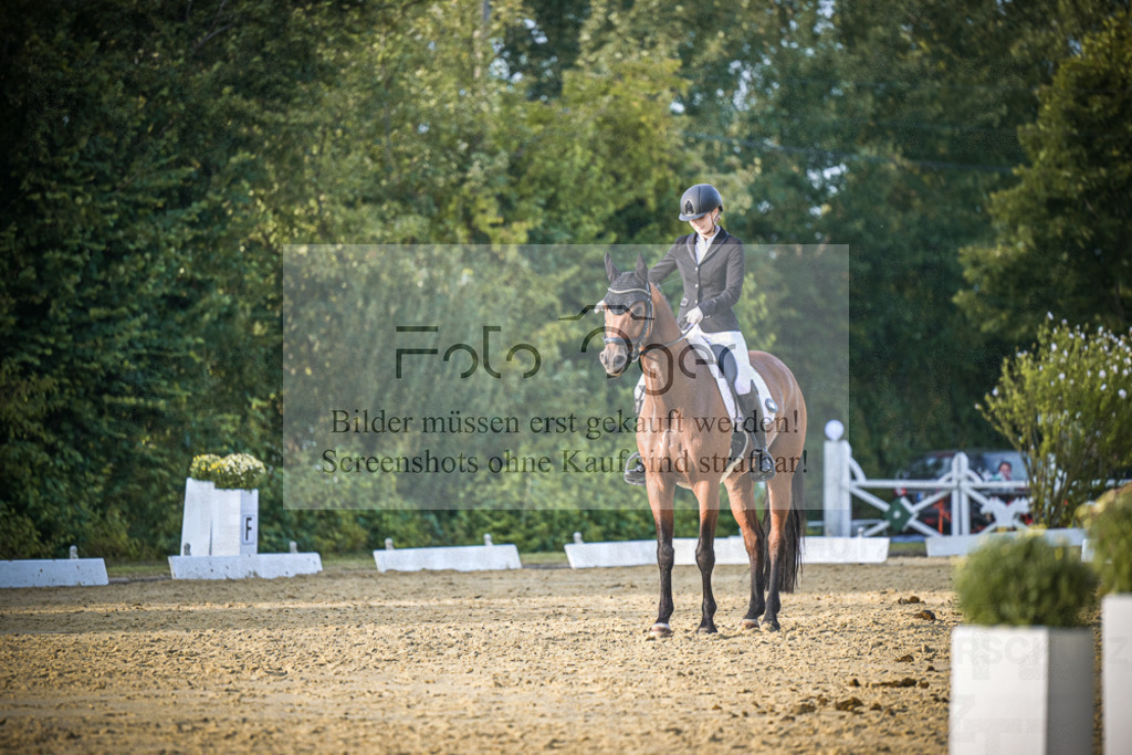 DOS_2099 | Entdecke hochwertige Reitturnierfotos von Foto Oger. Professionell, emotional und authentisch – jetzt Lieblingsmomente im Shop bestellen.Deutschlandweite Turnierfotografie. - Realisiert mit Pictrs.com