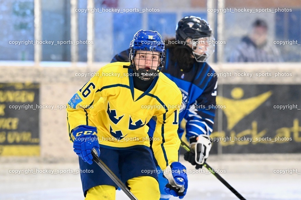 BST_5169 | hockey sports photos, Pressefotos, Sportfotos, hockey247, win 2day icehockeyleague, Handball Austria, Floorball Austria, ÖVV, Kärntner Eishockeyverband, KEHV, KFV, Kärntner Fussballverband, Österreichischer Volleyballverband, Alps Hockey League, ÖFB, 