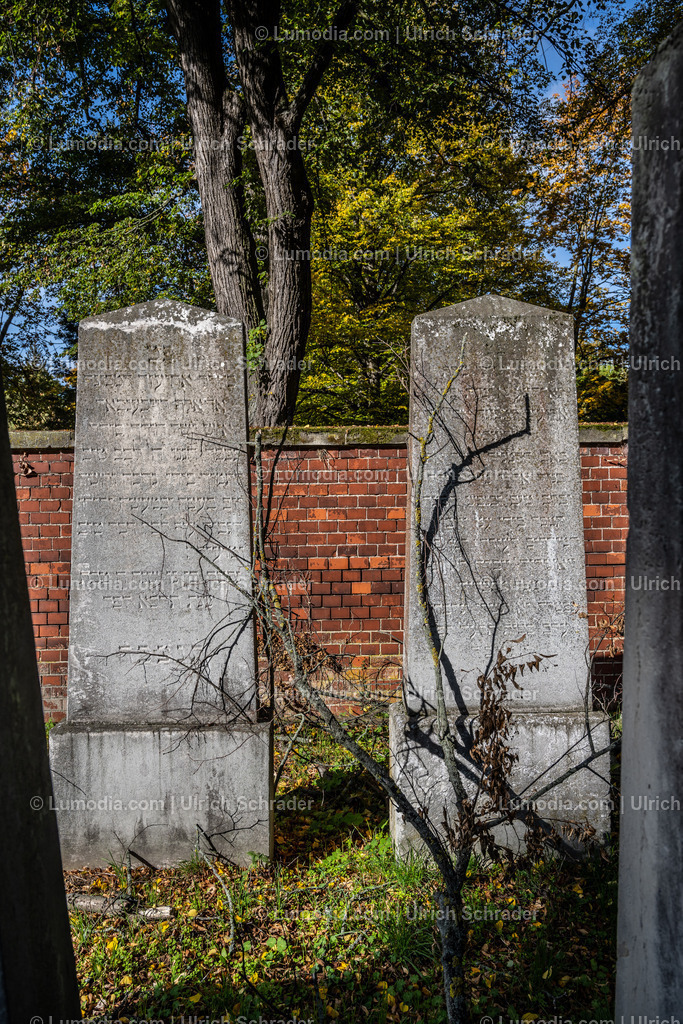 10049-12659 - Jüdische Friedhöfe Halberstadt | Stockfoto und Bilderpool mit Bildmaterial aus Deutschland, dem Harz, Halberstadt, Quedlinburg, Wernigerode und weltweit. Qualitativ hochwertige und professionelle Fotos anschauen und kaufen. - Realisiert mit Pictrs.com
