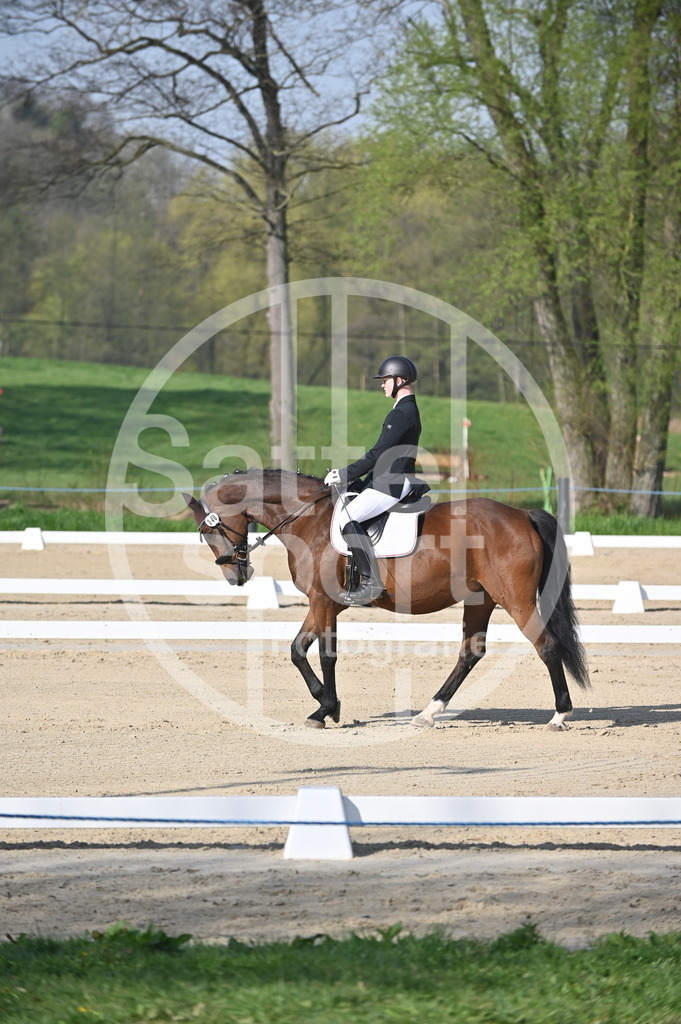 DSC_0085 | sattelsport - Realisiert mit Pictrs.com