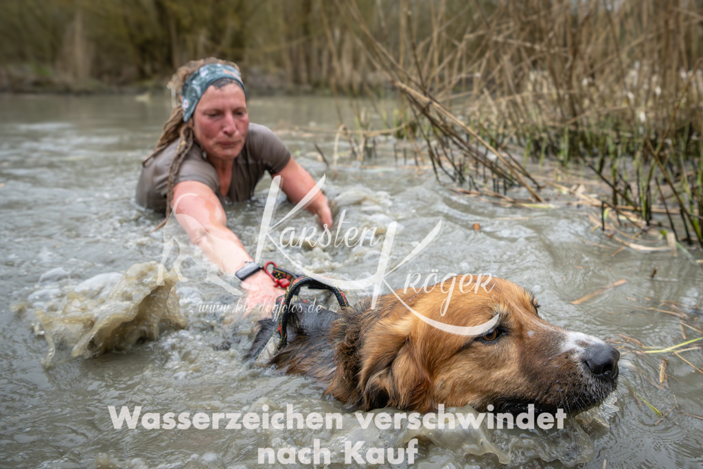 1330_ZZ99725 | kk-dogfotos