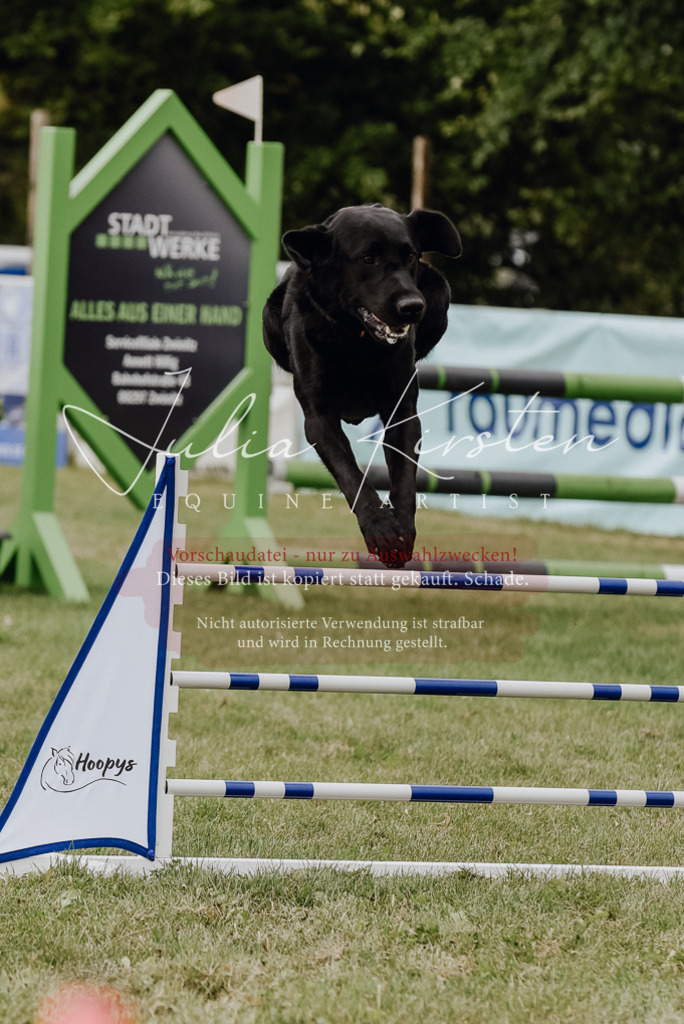 DSC_4000 | Pferde- und Turnierfotografie in Westsachsen. Pferdeportraits, Auftragszeichnungen und intuitive Kunst.