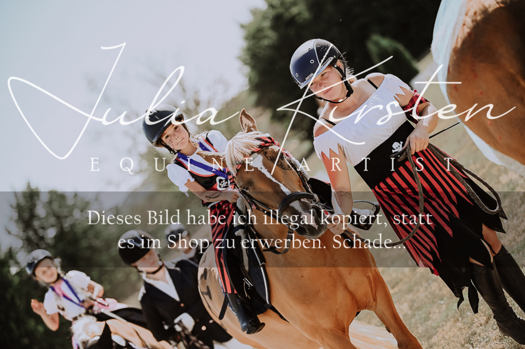 DSC_9074 | Pferde- und Turnierfotografie in Westsachsen. Pferdeportraits, Auftragszeichnungen und intuitive Kunst.