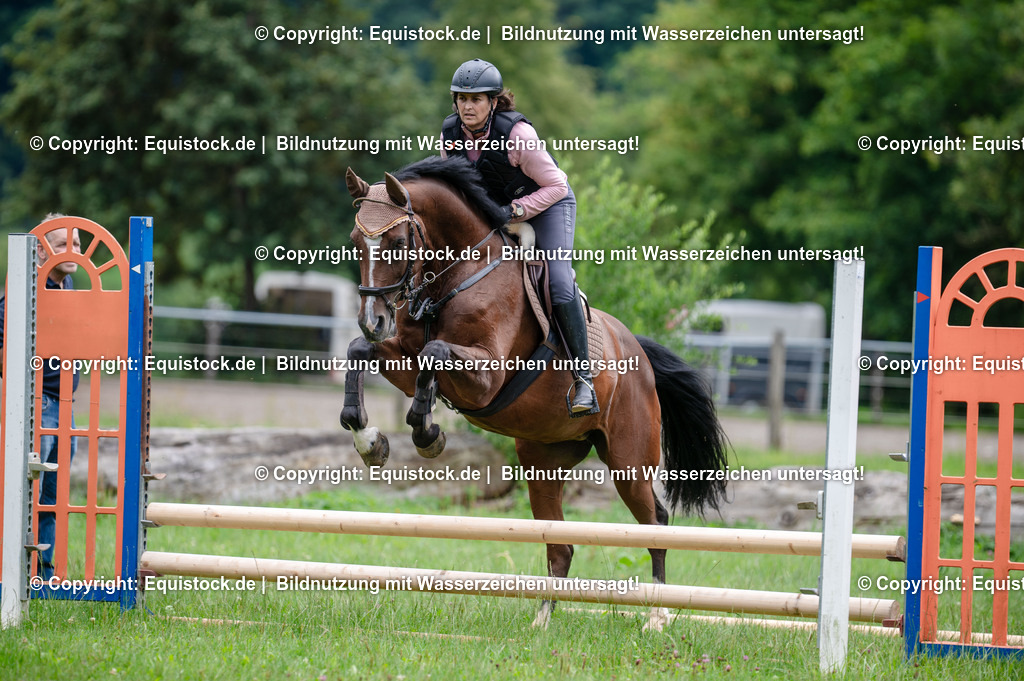20250725_Vielseitigkeitslehrgang-Marbach_0305 | Foto: Thomas Hartig