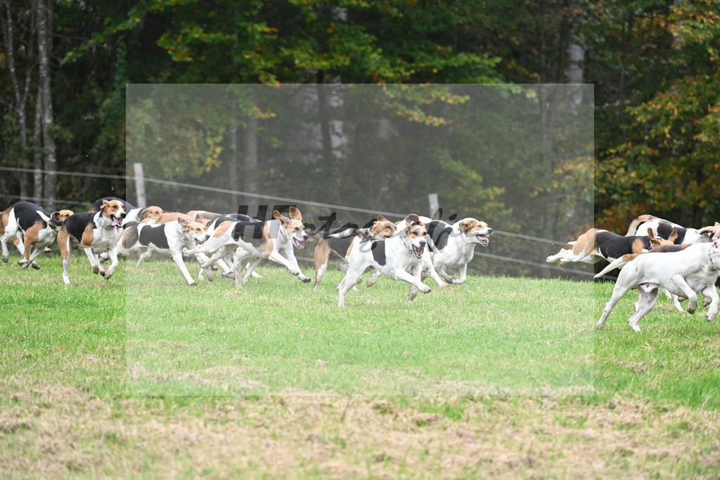 5622269 | hf-fotografie - Realizzato con Pictrs.com