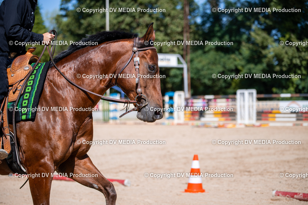 ZS1_0911 | dv-media-shop - Realisiert mit Pictrs.com