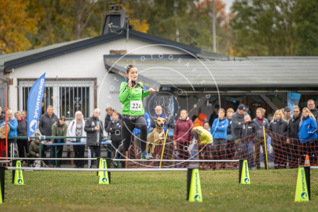 Pfotenfotografie_DV3A3135 | Hundefotografie, Tierfotograf, Pfotenfotografie, Fotoshooting Hund, Hunde Portrait, Hundesport, Hundeportraits, Heideshooting, Hunde, Sportfotograf, Hundefotograf, Turnierhundsport, THS,  - Realisiert mit Pictrs.com