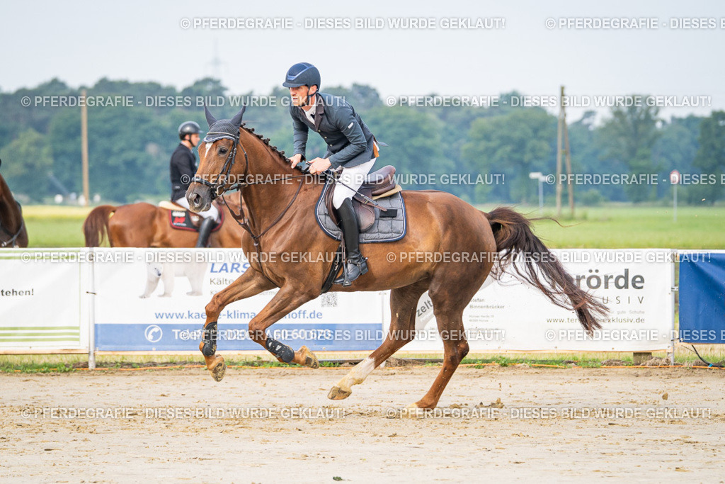 DSC08830 | Pferdegrafie