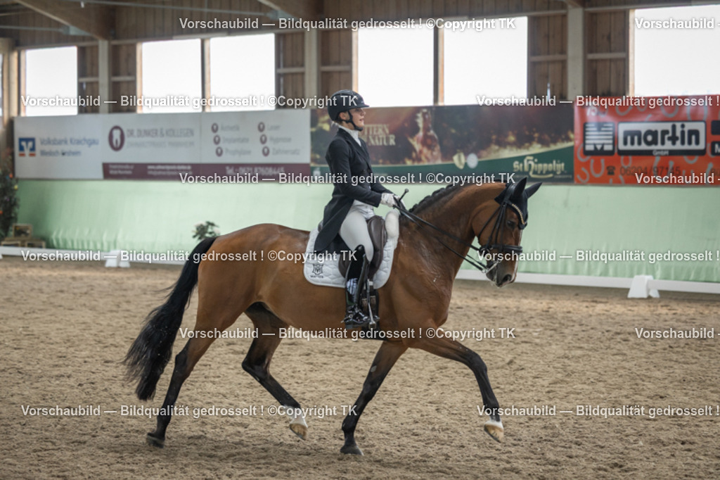 _D5A6667 | Emotionale Pferde- & People-Fotografie rund um Heidelberg, Leimen & Umgebung. Natürliche Fotos von Pferd, Mensch & Familie. Jetzt Termin sichern!