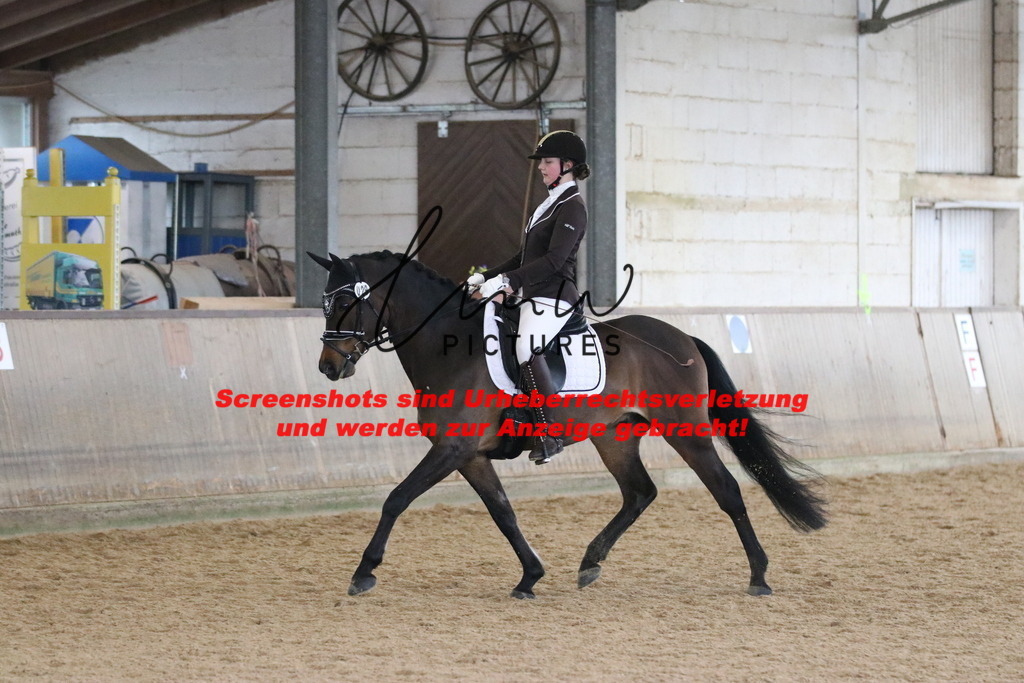 IMG_7368 | lmwpictures - Realisiert mit Pictrs.com