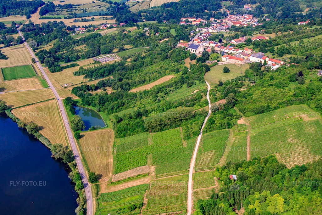 Vue aérienne: Vignobles sur les rives de la Moselle à Haute-Kontz dans le département Moselle, France.Photo: IMG_29417.jpg prise le 26/06/2010 par Werner Riehm/FLY-FOTO.euRésolution de l'original: 4599 x 3066 px