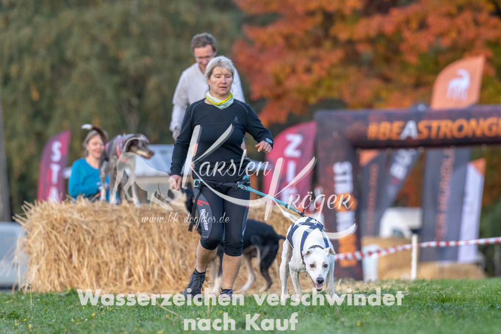 0847_ZZ91354-Bearbeitet | kk-dogfotos