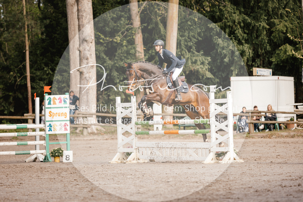 3I6A3398 | Stimmungsvolle Portraits und Reitsportfotografie im Ruhrgebiet und im Münsterland.

Pferdefotografie, Hundefotografie, Tierfotografie, Reportagen, Portraits von Tier und Mensch, Turnierfotografie in Bochum, Recklinghausen, Marl, Haltern am See, Dülmen.. - Realisiert mit Pictrs.com