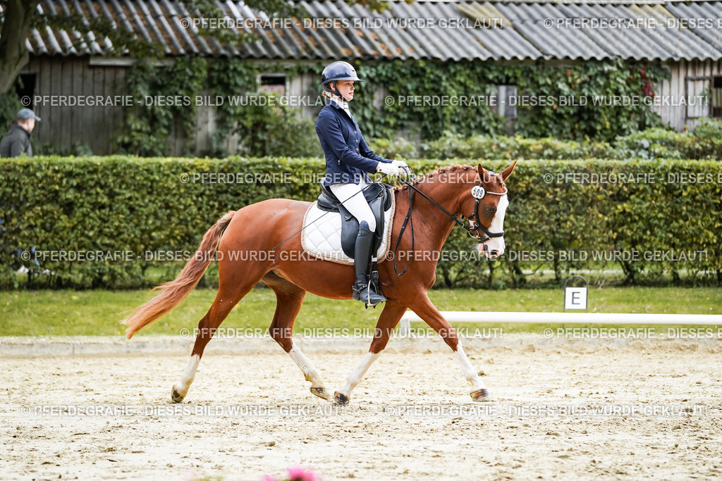 DSC07524 | Pferdegrafie