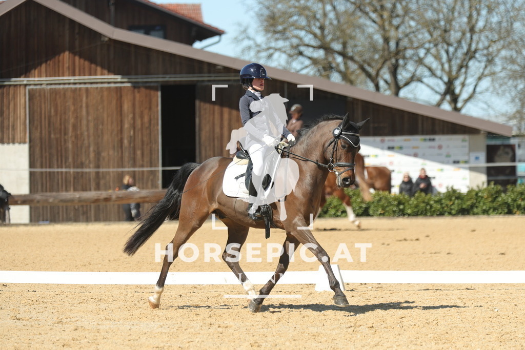 0P6A7382 | Willkommen bei Brunnmayr - Design & Fotografie – Ihrem Spezialisten für Reitturniere und Pferdeveranstaltungen in Oberösterreich, Salzburg und Bayern! Seit über 17 Jahren sind wir leidenschaftlich dabei.