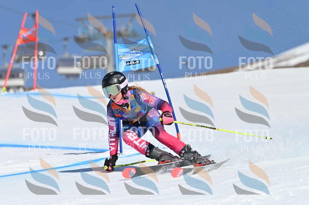 BGV_8556 | holidayphoto