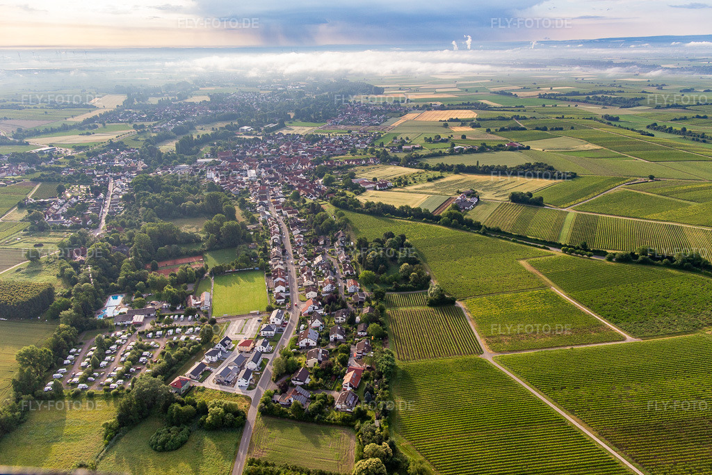 Luftbild: Klingener Straße von Westen im Ortsteil Ingenheim in Billigheim-Ingenheim im Bundesland Rheinland-Pfalz in Deutschland. Foto: IMG_141749.jpg vom 18.06.2024 durch Werner Riehm/FLY-FOTO.de