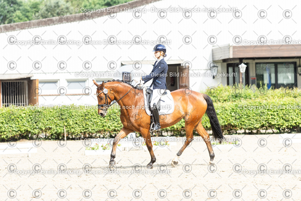 CL5A6200-2 | Emilia Reinking Fotografie - Realisiert mit Pictrs.com