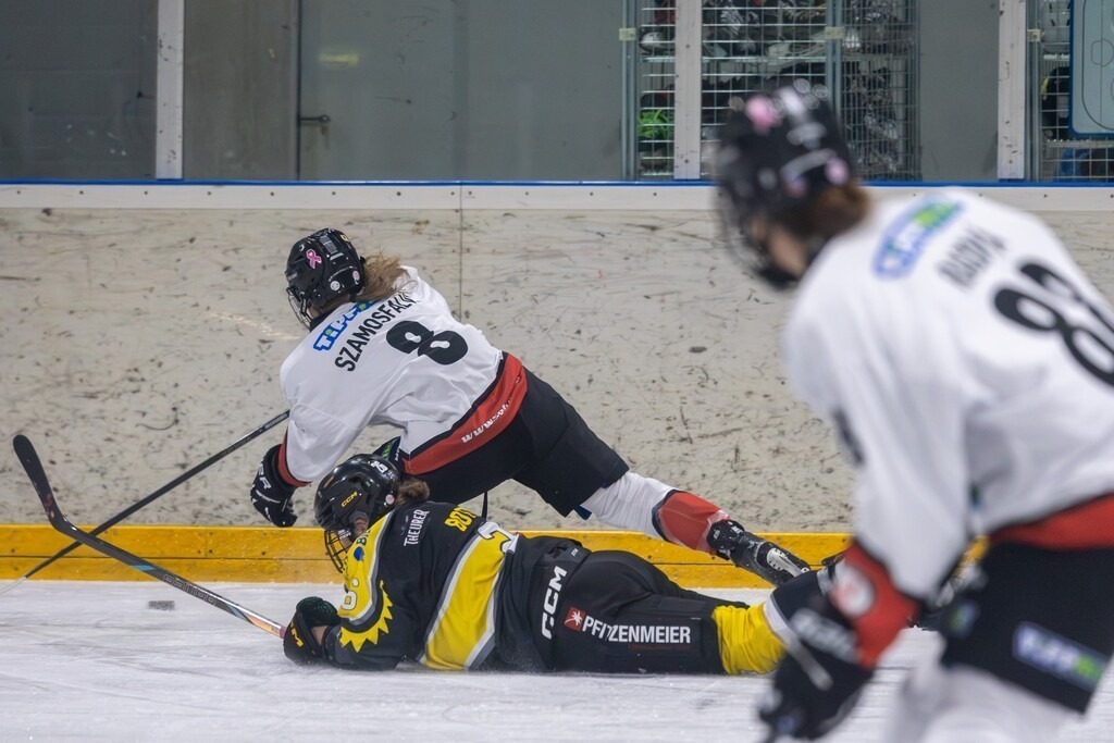 Mad Dogs Mannheim vs. HK Budapest (Mannheim, Germany) | Mannheim, Germany, 26/10/26) blossom-ic DFEL - GERMAN WOMEN'S ICE HOCKEY LEAGUE, 2026–27 Season, Matchday 10: Mad Dogs Mannheim vs. HK Budapest / A fierce duel between Tabea Botthof (26, Mannheim) and Petra Szamosfalvi (8, Budapest) - Realisiert mit Pictrs.com