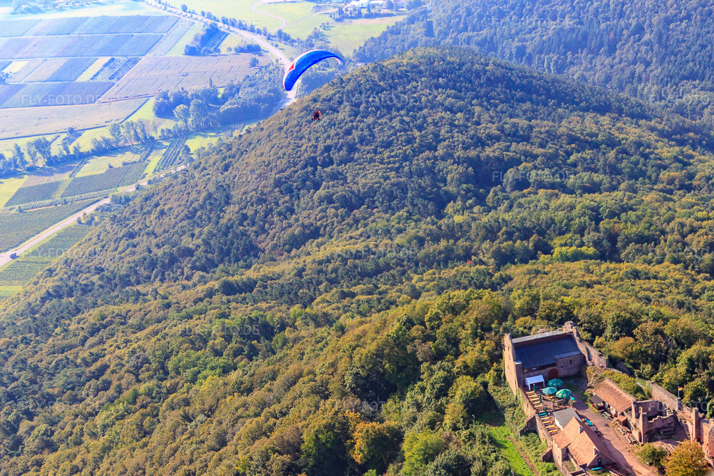 Luftbild: Paragleiter über der Madenburg in Eschbach im Bundesland Rheinland-Pfalz in Deutschland. Foto: IMG_45442.jpg vom 24.09.2011 durch Werner Riehm/FLY-FOTO.de