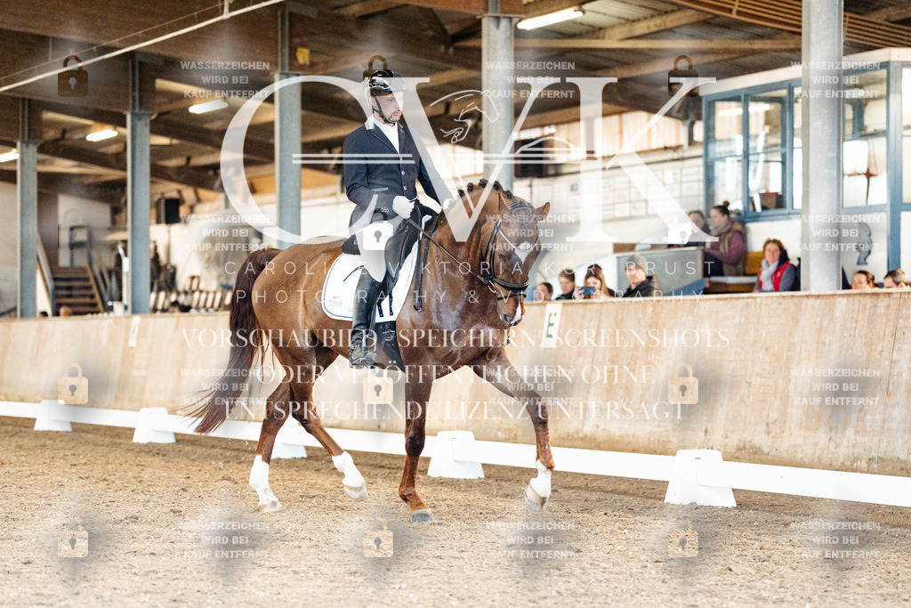 CK909405 | Turnierfotografie Pferdefotografie Trier Rheinland-Pfalz Pferdesport Reitsport Tierfotografie Sportfotografie Pferdevideo Pferdevideografie Equestrianvideography equestrianphotography  - Realisiert mit Pictrs.com