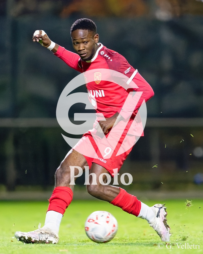 084_DZ9_5932 | Velletri Photo