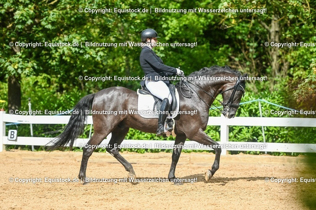 20230716_01_Dressurprüfung Kl.M_0597 | equistock