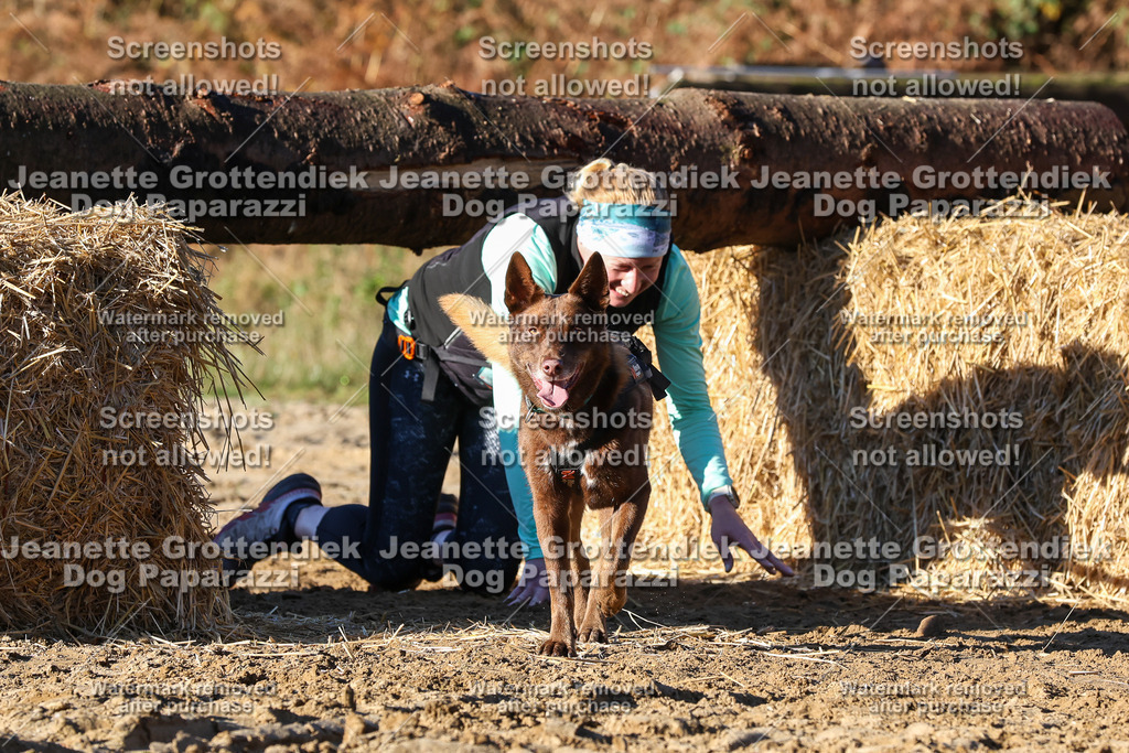 Dog Paparazzi - Strongdog 10-25-1459 | Dog Paparazzi Jeanette Grottendiek Fotografie & Videografie - Realisiert mit Pictrs.com