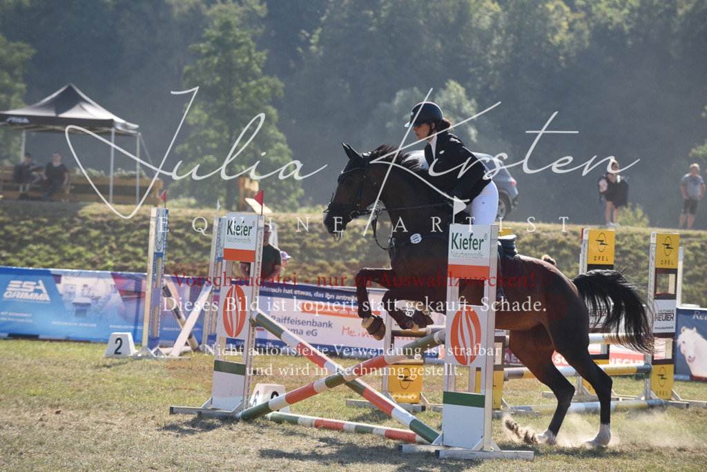DSC_5931 | Pferde- und Turnierfotografie in Westsachsen. Pferdeportraits, Auftragszeichnungen und intuitive Kunst.