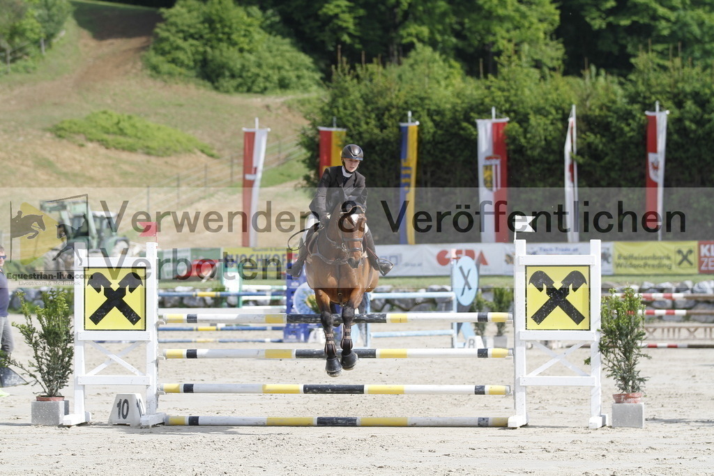 _MG_8873 | equestrian-live-com