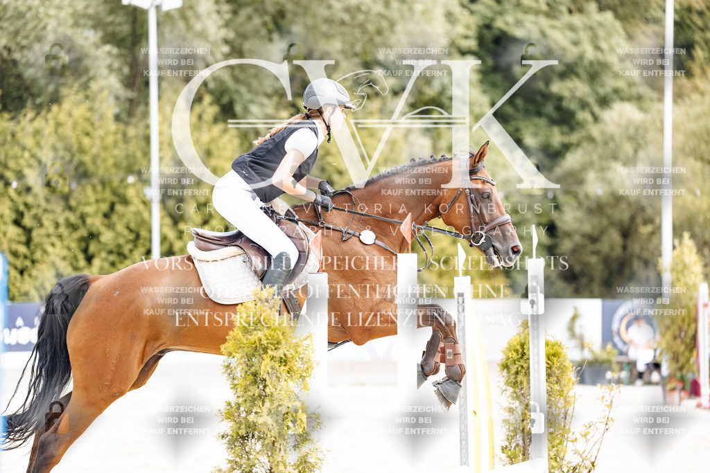 CK906585 | Turnierfotografie Pferdefotografie Trier Rheinland-Pfalz Pferdesport Reitsport Tierfotografie Sportfotografie Pferdevideo Pferdevideografie Equestrianvideography equestrianphotography  - Realisiert mit Pictrs.com