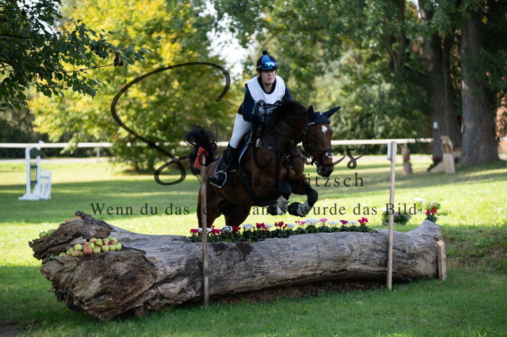 A7V03317 | Pferdefotograf