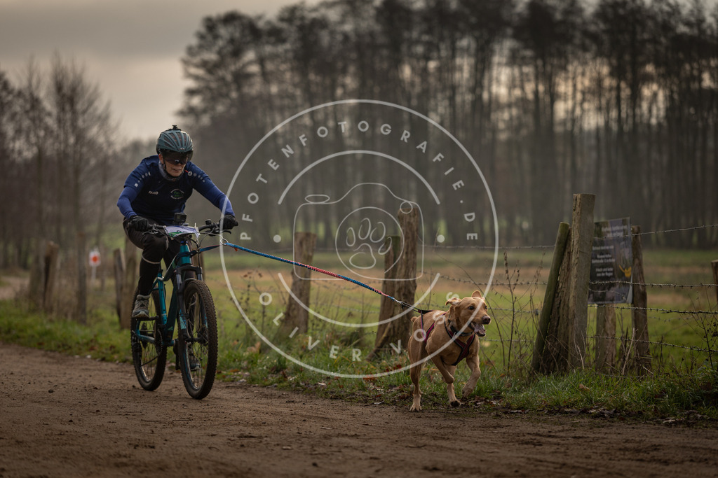 Pfotenfotografie_DV3A1977 | Hundefotografie, Tierfotograf, Pfotenfotografie, Fotoshooting Hund, Hunde Portrait, Hundesport, Hundeportraits, Heideshooting, Hunde, Sportfotograf, Hundefotograf, Turnierhundsport, THS,  - Realisiert mit Pictrs.com
