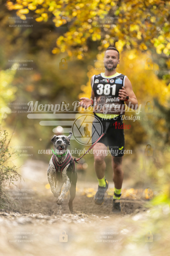 MompixPhotography_ICF_WC_2024_SA_Run_-319 | PayLife