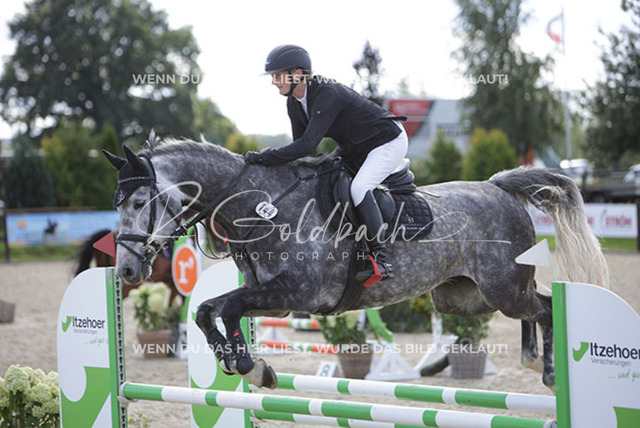 1J2A9185Britta Braunert_ Casino Brandy_ Kn144_ Havekost | Foto- und Videografie für alles rund ums Pferd. Hochwertige Bilder und Videos vom Spring- und Dressurreiten, Voltigieren & mehr. Jetzt aktuelle Veranstaltungen und Preise im Shop ansehen. - Realisiert mit Pictrs.com