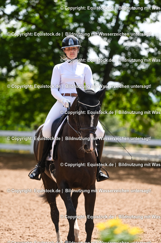 20230716_03_Dressurprfg. Kl.L - Tr._0049 | equistock