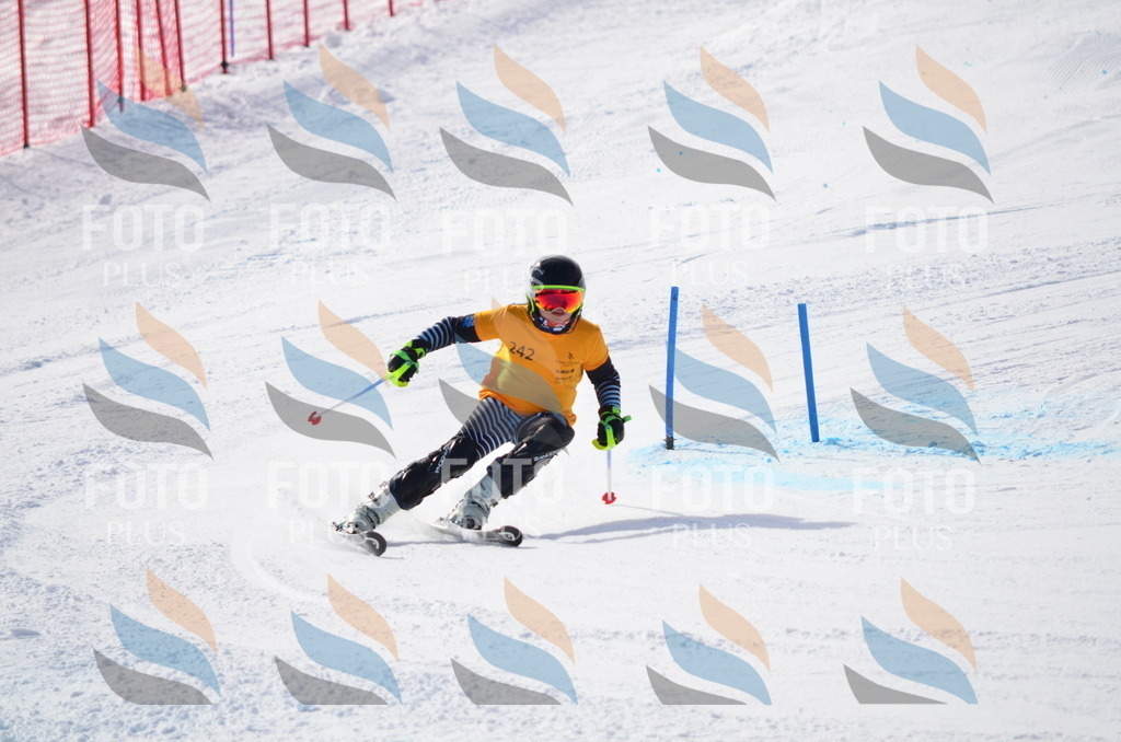 C8393 | holidayphoto