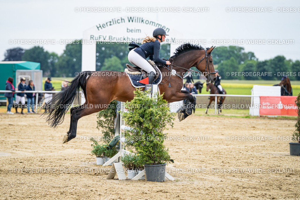 DSC06341 | Pferdegrafie