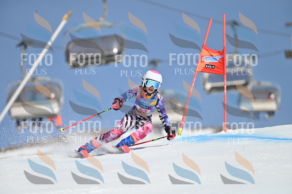 BGV_8777 | holidayphoto