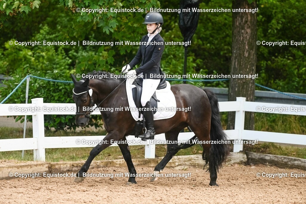 20230716_04_Dressurreiterprüfung Kl.A_0308 | equistock