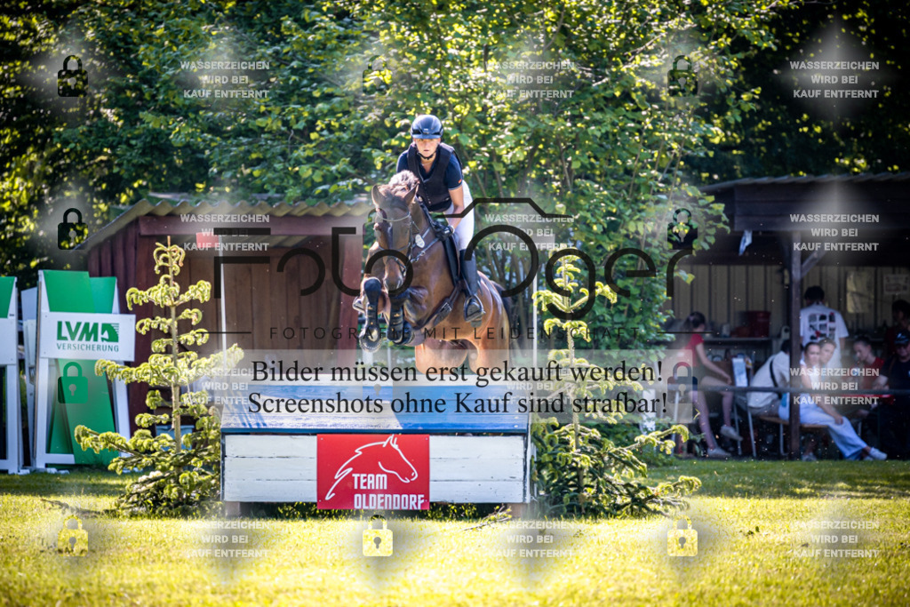 2026-05 - Melle Oldendorf-3-0065 | Entdecke hochwertige Reitturnierfotos von Foto Oger. Professionell, emotional und authentisch – jetzt Lieblingsmomente im Shop bestellen.Deutschlandweite Turnierfotografie. - Realisiert mit Pictrs.com